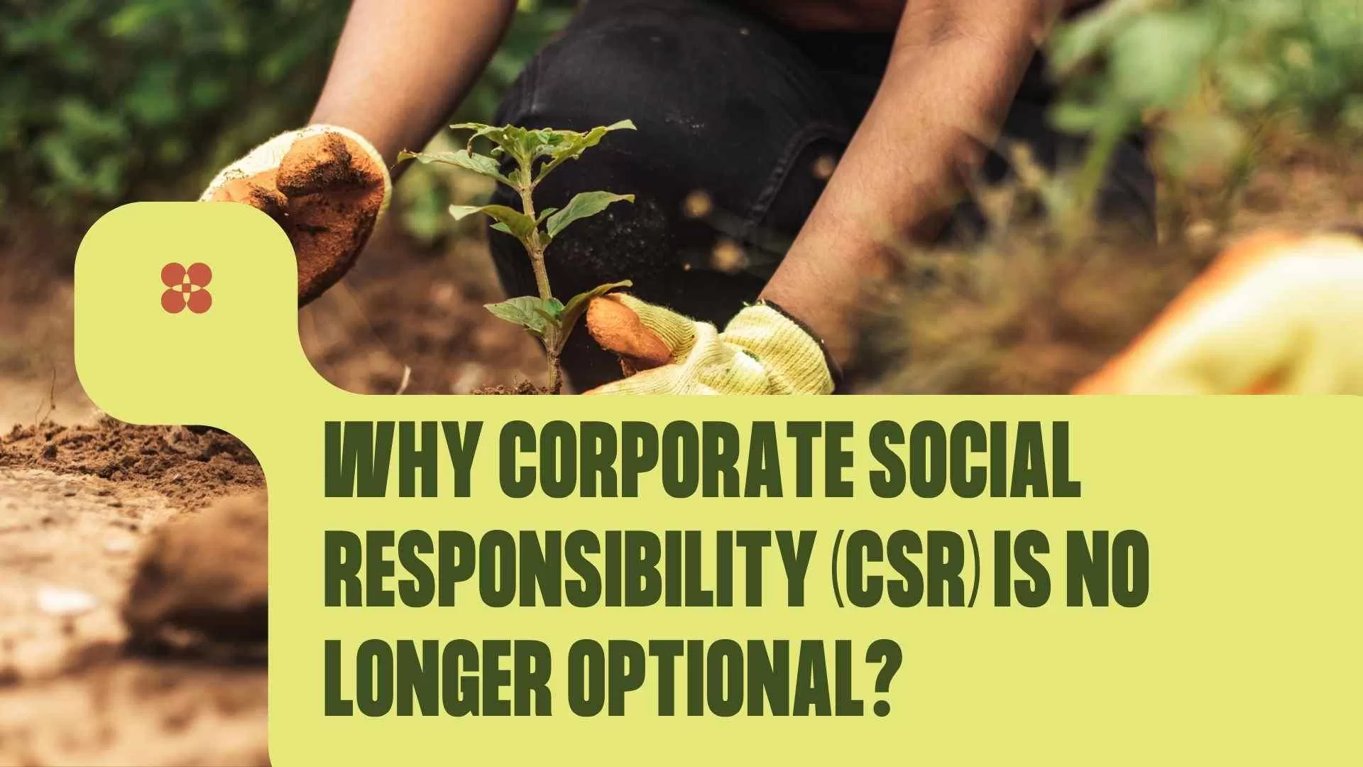Why Corporate Social Responsibility (CSR) Is No Longer Optional