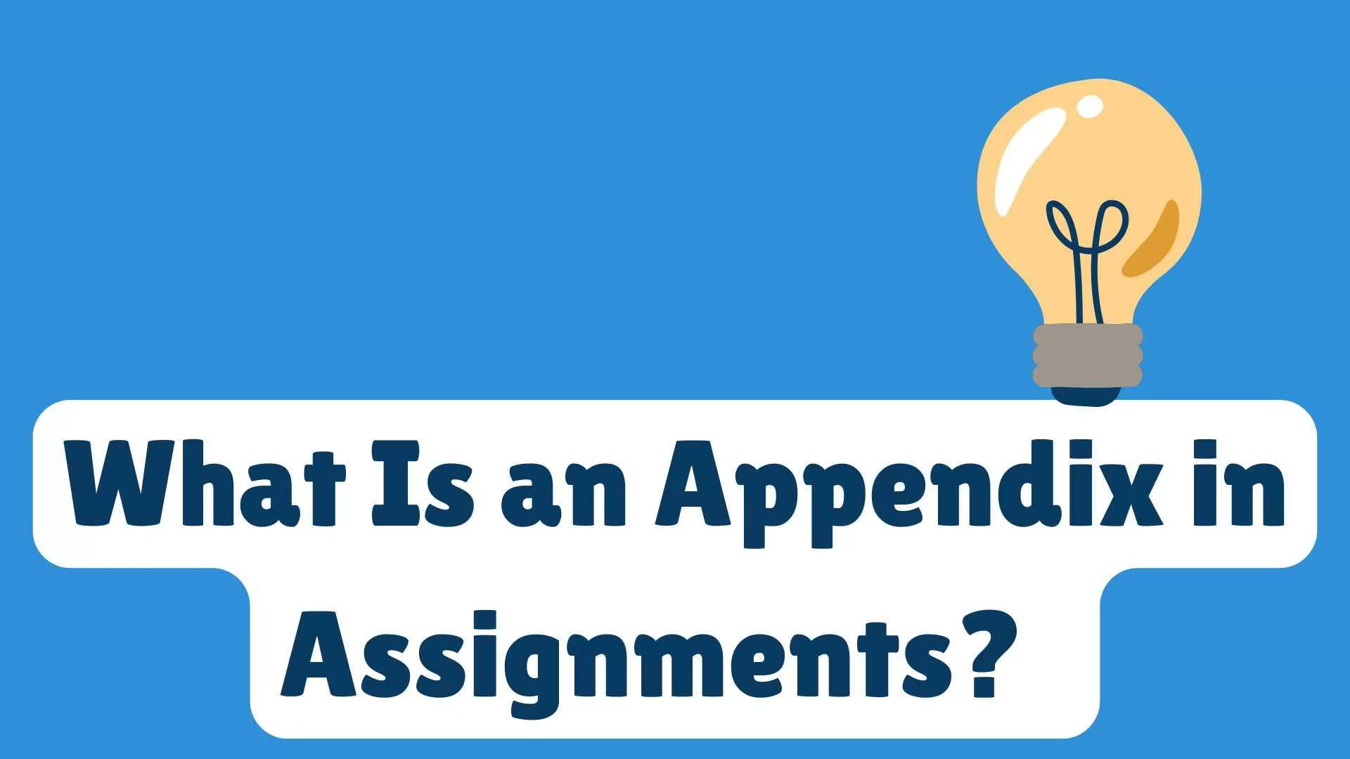 What Is an Appendix in Assignments? What to Include